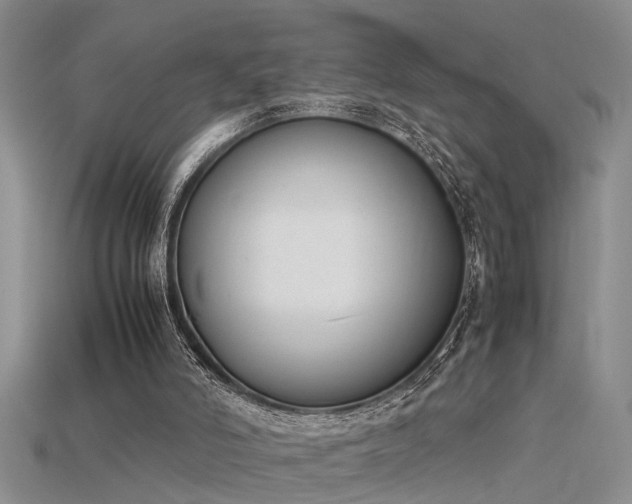 X0000115760006200911131206