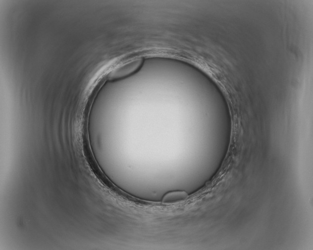 X0000115760007200911131206