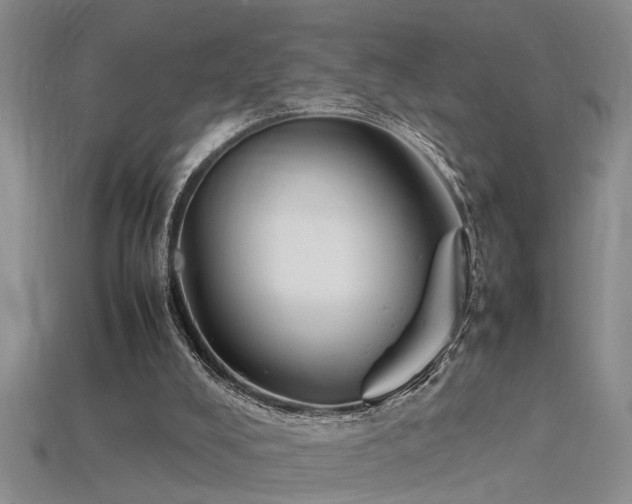 X0000115760008200911131205