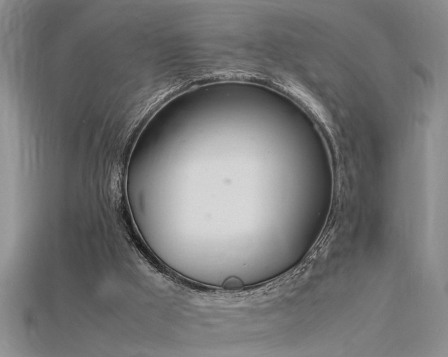 X0000115760009200911131205