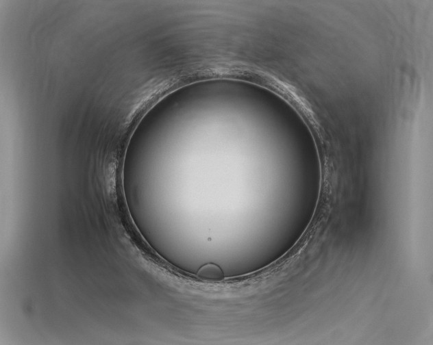 X0000115760010200911131205