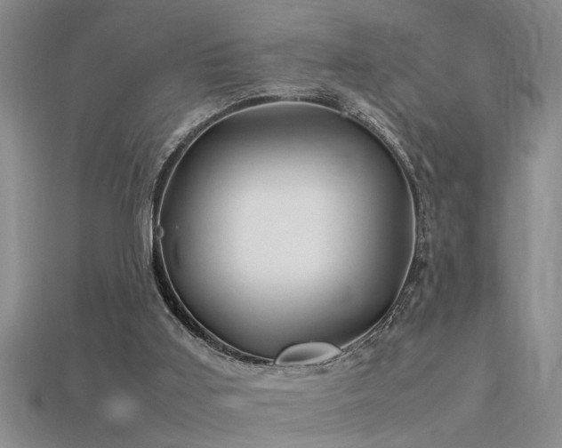 X0000115760011200911131205