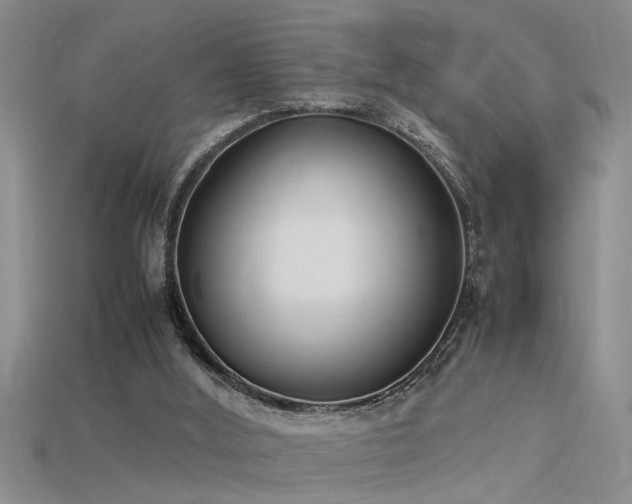 X0000115760012200911131205
