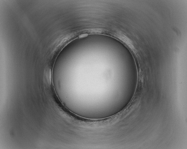 X0000115760013200911131205