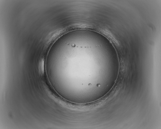 X0000115760014200911131205