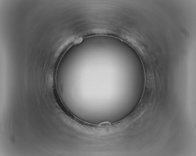 X0000115760015200911131205