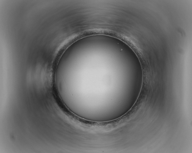 X0000115760016200911131205