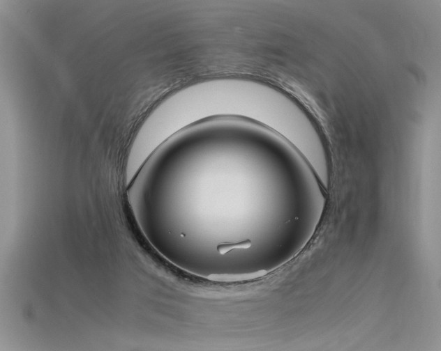 X0000115760017200911131205
