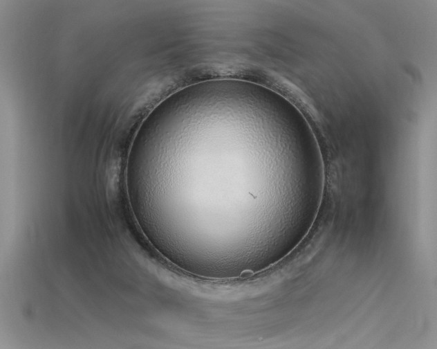 X0000115760018200911131205