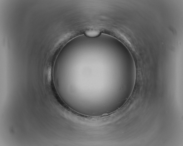 X0000115760019200911131205