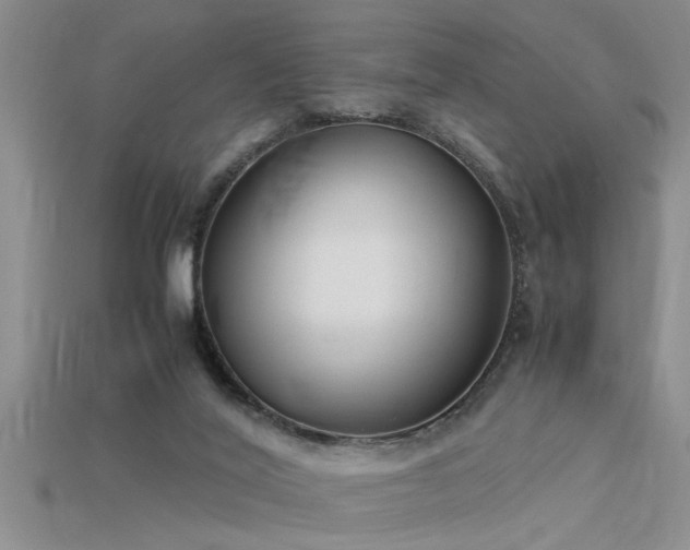 X0000115760020200911131205