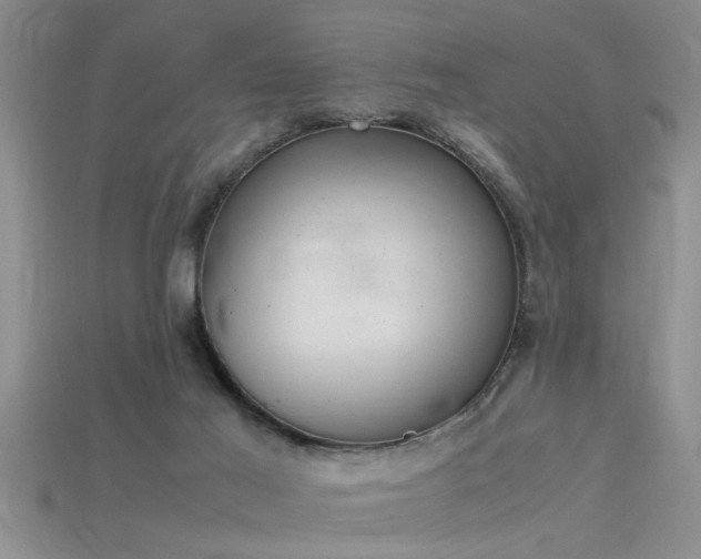 X0000115760021200911131205