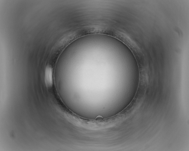 X0000115760022200911131205