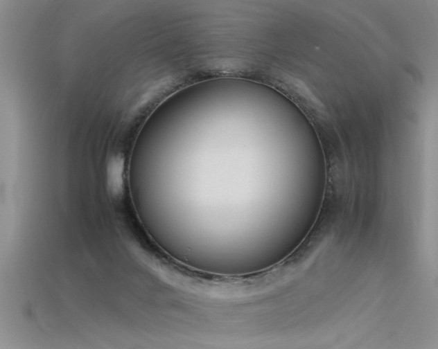 X0000115760024200911131205