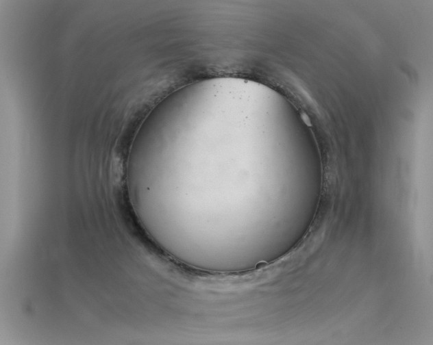X0000115760025200911131205