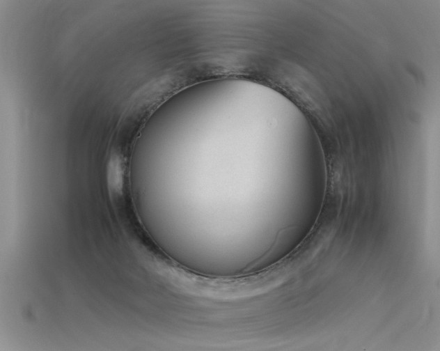X0000115760026200911131205