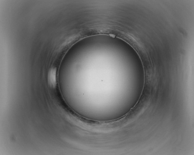 X0000115760028200911131205