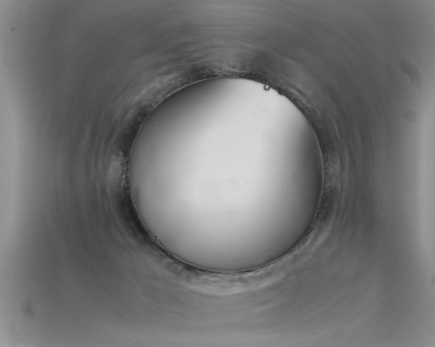 X0000115760029200911131205
