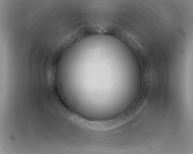 X0000115760030200911131205