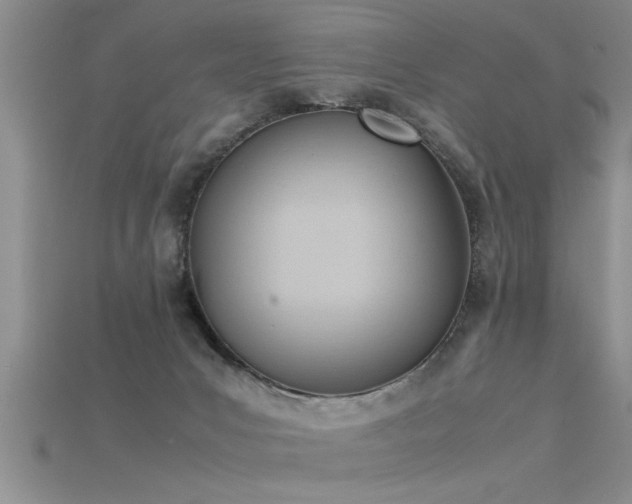 X0000115760031200911131205