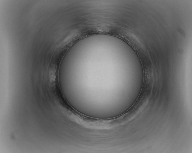 X0000115760032200911131205
