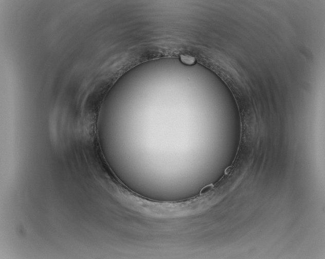 X0000115760034200911131205