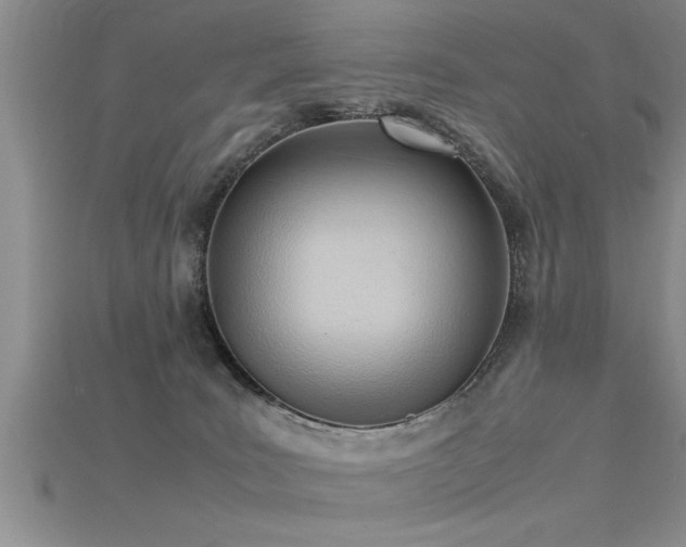 X0000115760035200911131205