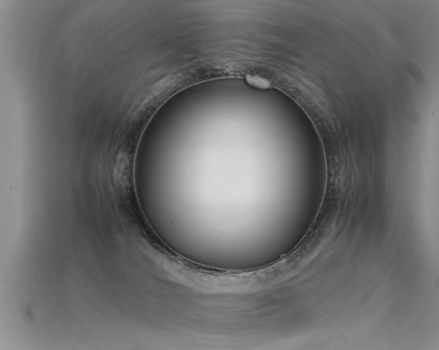 X0000115760036200911131205