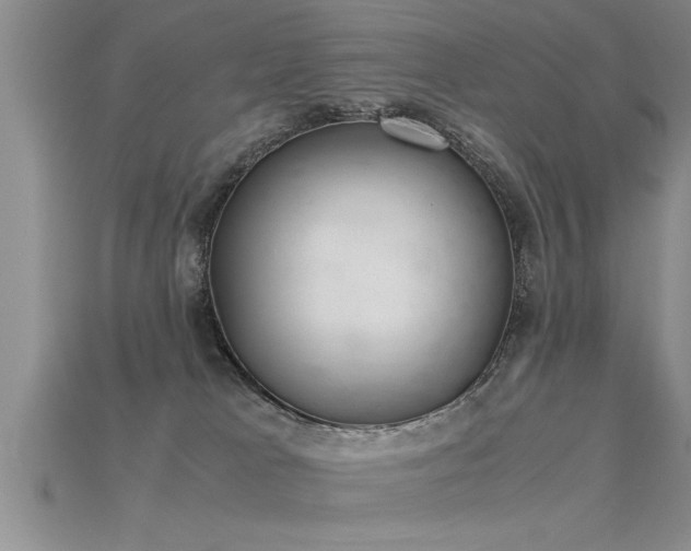 X0000115760037200911131205