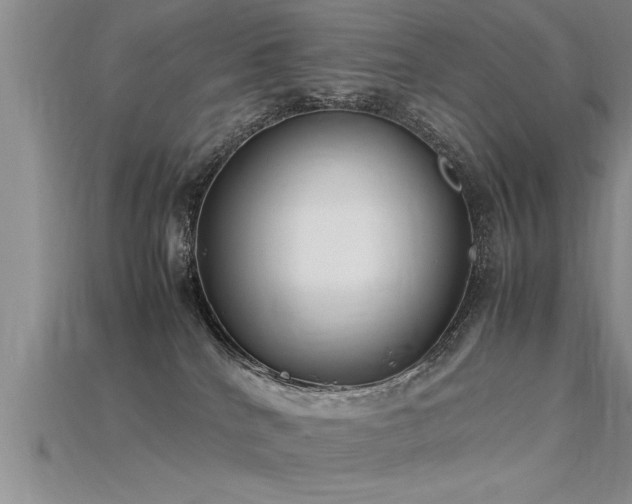 X0000115760040200911131205