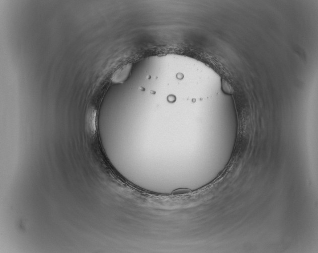 X0000115760041200911131205