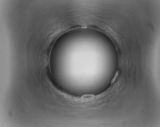 X0000115760043200911131205