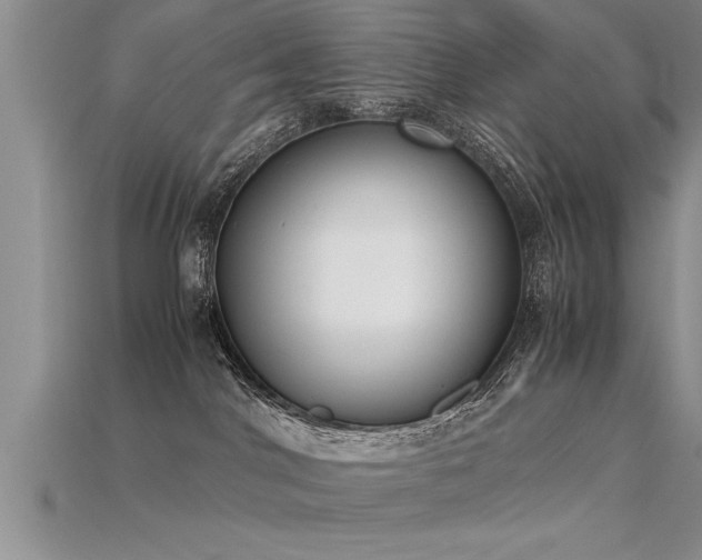 X0000115760044200911131205
