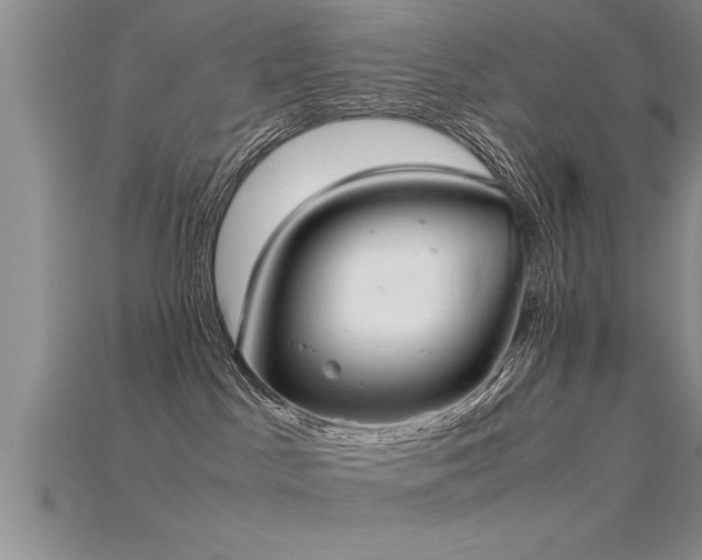 X0000115760045200911131205
