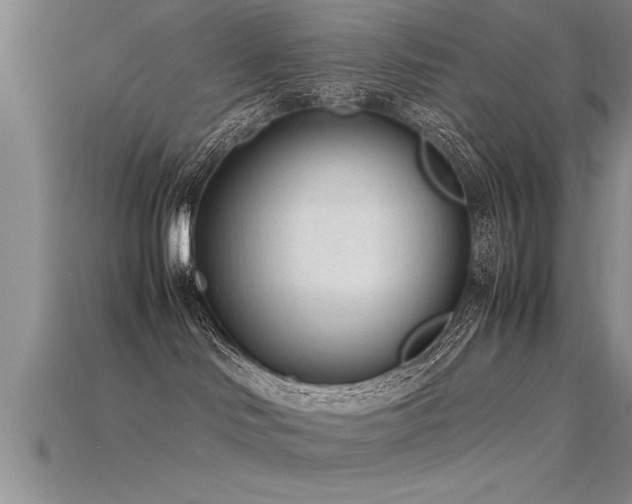 X0000115760046200911131205