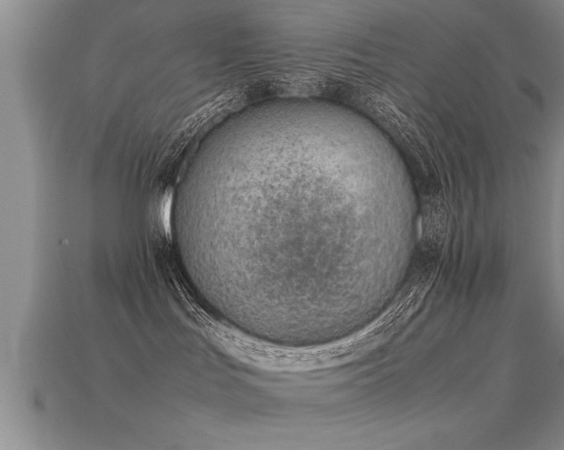 X0000115760047200911131205
