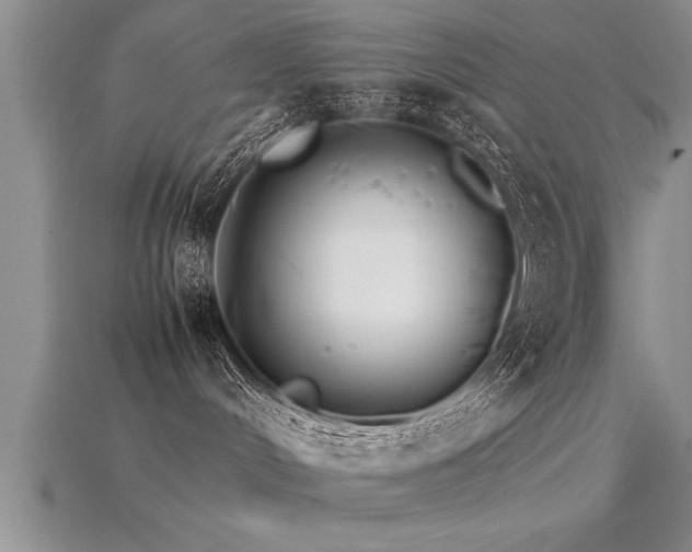 X0000115760048200911131205