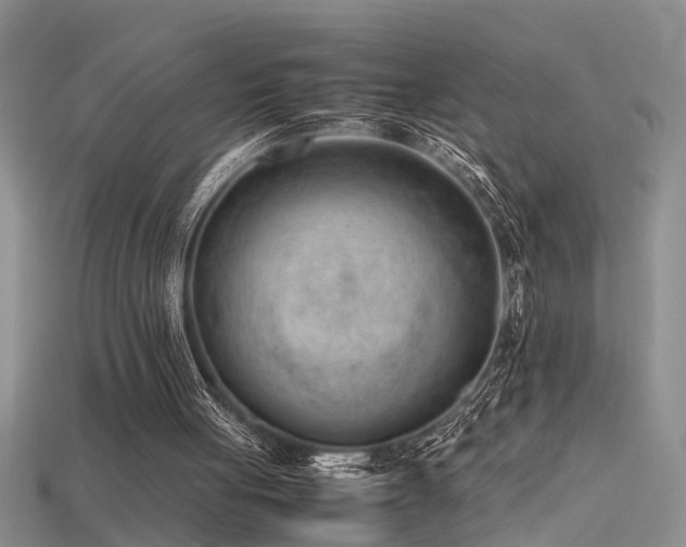 X0000115760051200911131204