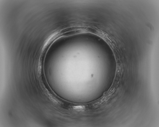 X0000115760053200911131204