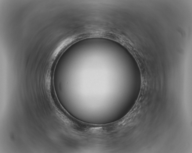 X0000115760054200911131204