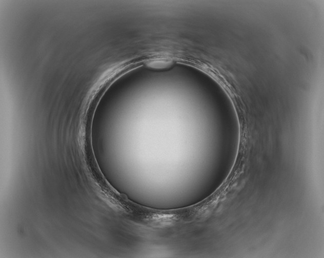 X0000115760055200911131204