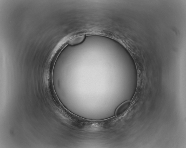 X0000115760056200911131204