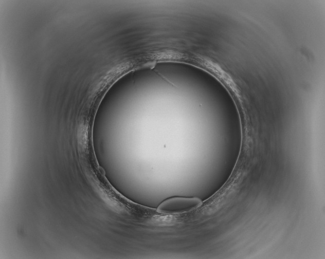 X0000115760057200911131204