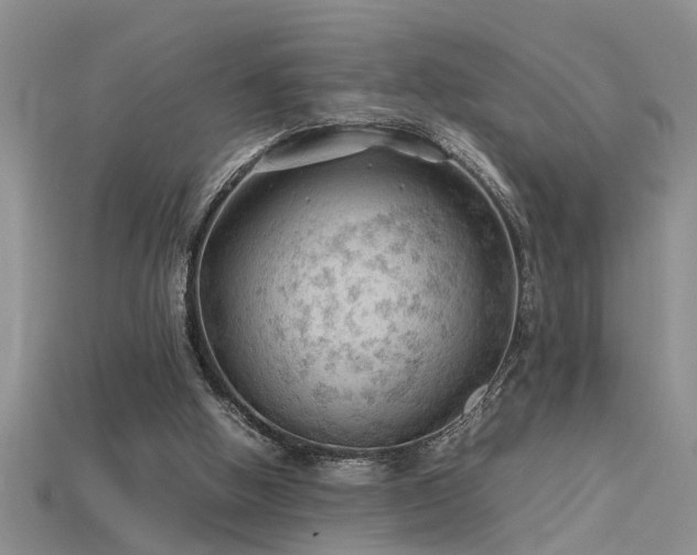 X0000115760058200911131204
