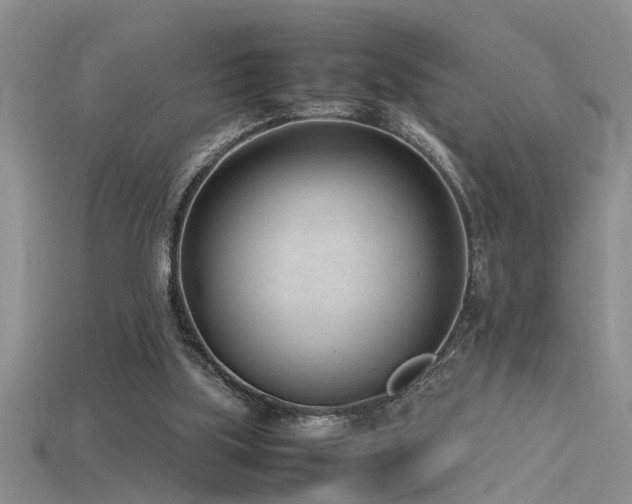 X0000115760059200911131204