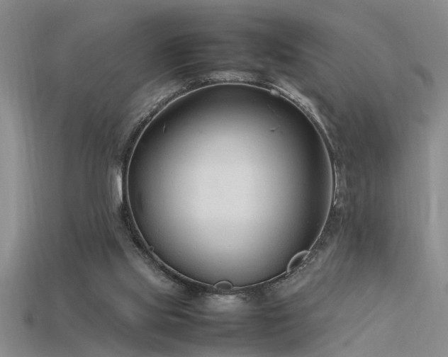 X0000115760061200911131204
