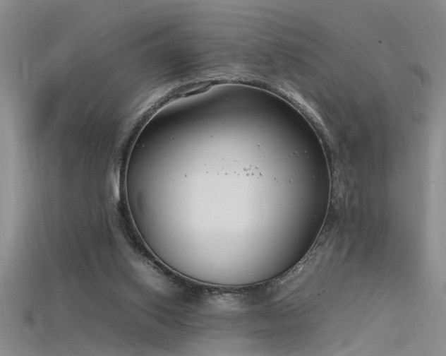 X0000115760062200911131204