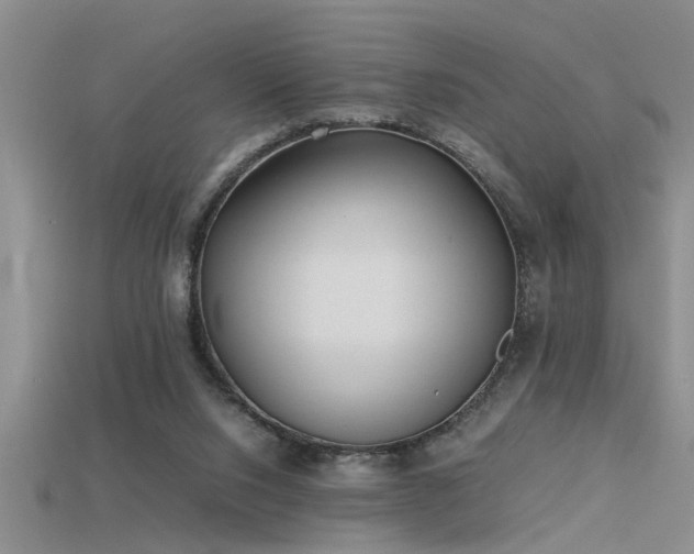 X0000115760064200911131204