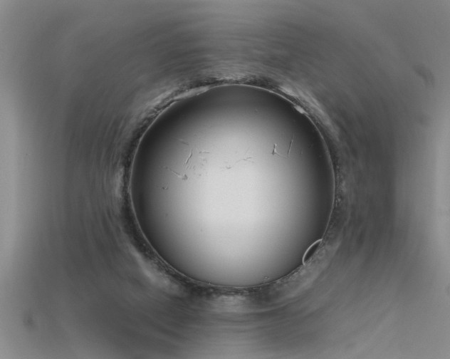 X0000115760066200911131205