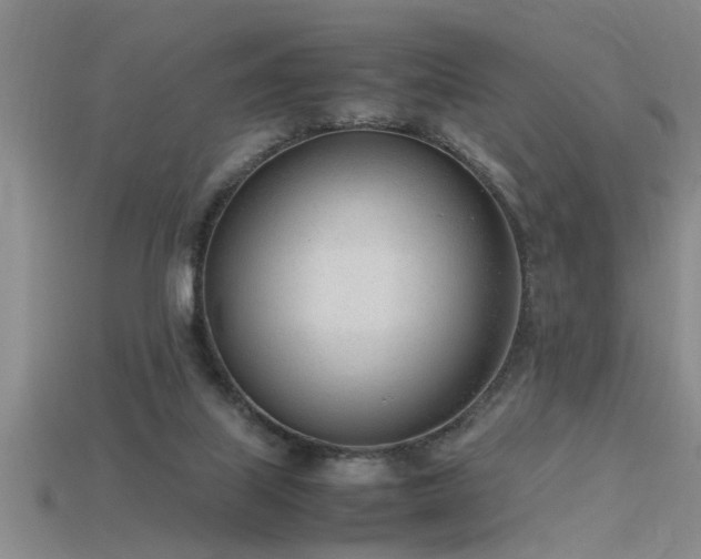 X0000115760067200911131205